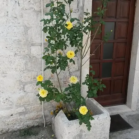 凯罗斯一室公寓